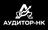 Аудитор-НК