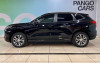 Haval Jolion 1.5 AMT (150 л.с.) 4WD 2023, миниатюра — 4