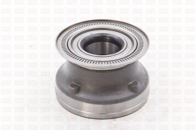 PT201081 Ступица в сборе с подшипниками