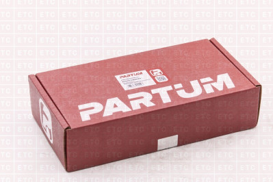 PT6253300119 Рем.комплект шкворня